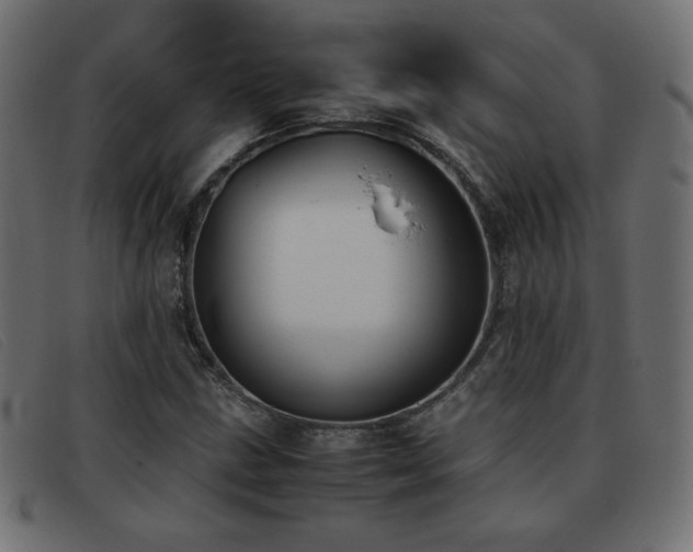X0000093371211200710111430