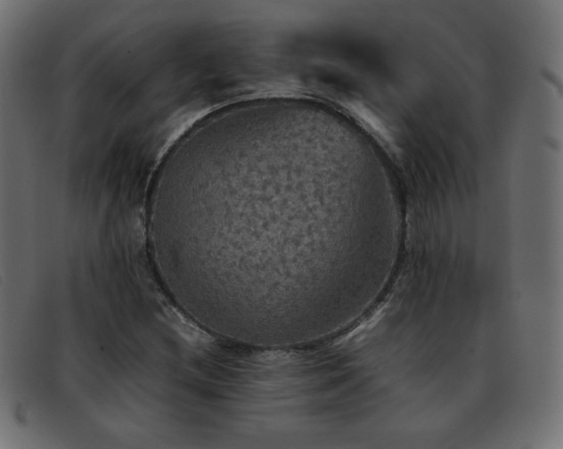X0000093371212200710111430