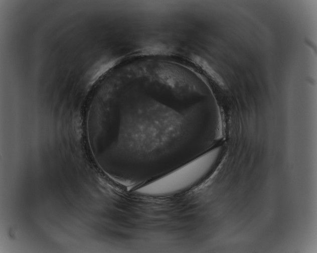 X0000093371213200710111430