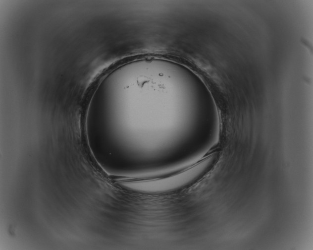 X0000093371214200710111430