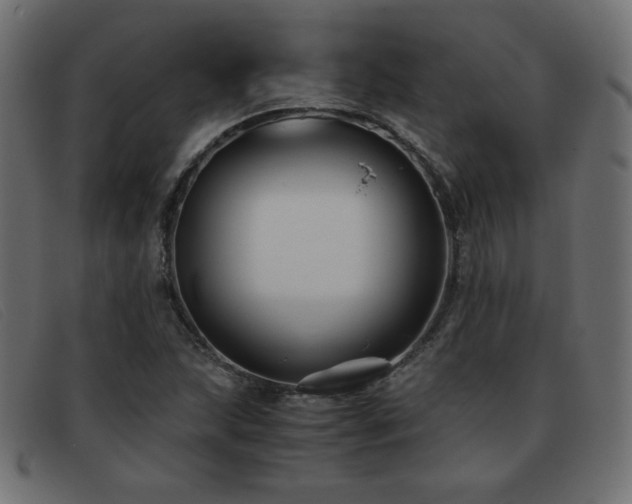 X0000093371215200710111430