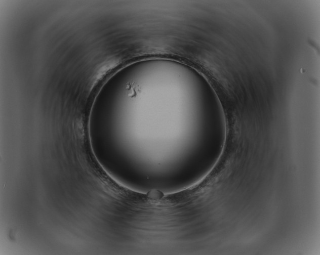 X0000093371218200710111430