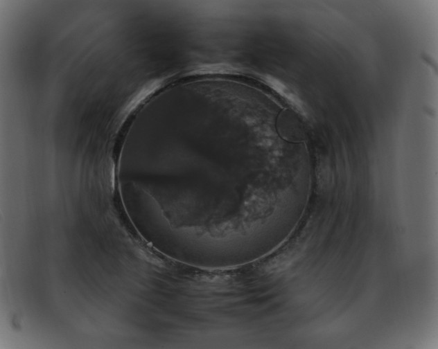 X0000093371221200710111430