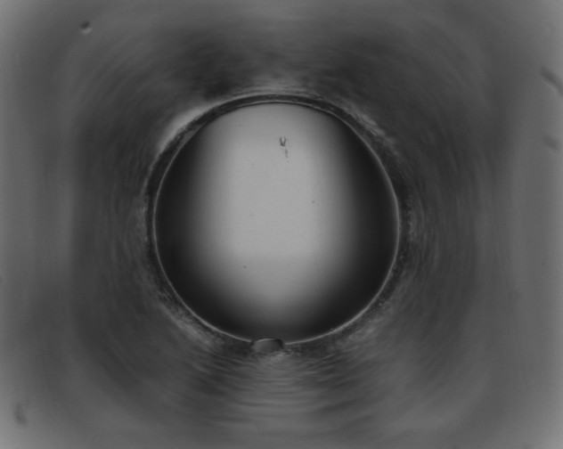 X0000093371222200710111430