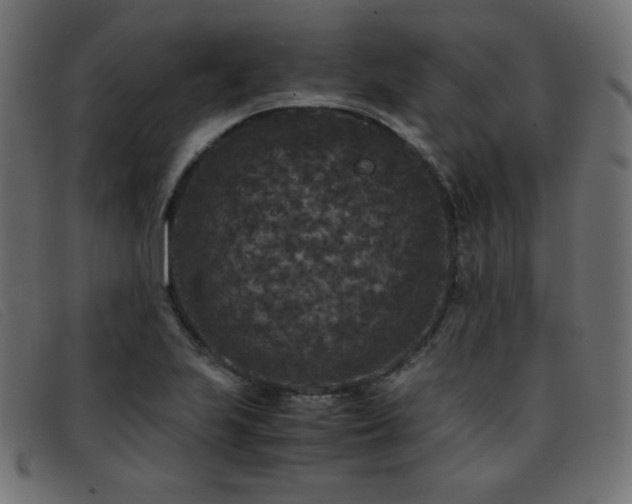 X0000093371223200710111430
