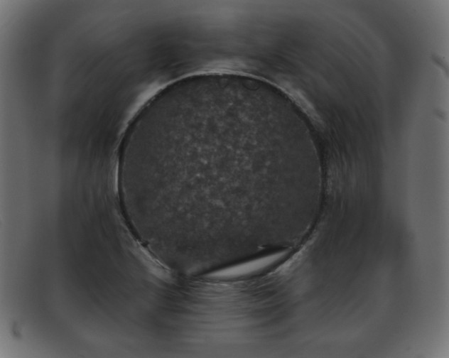 X0000093371224200710111430