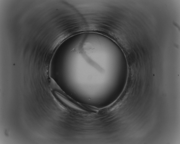 X0000093371225200710111430