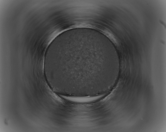X0000093371228200710111430