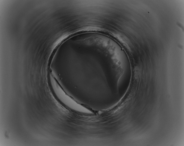 X0000093371229200710111430