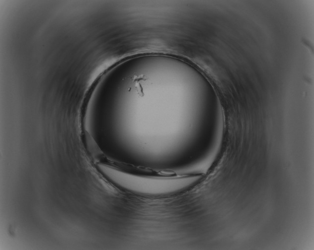 X0000093371230200710111430