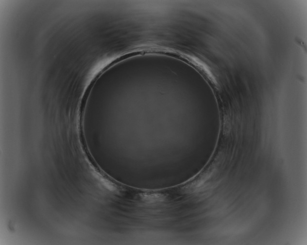 X0000093371231200710111430