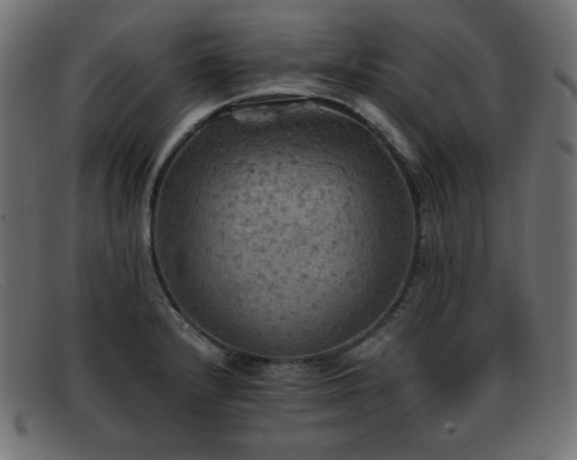 X0000093371232200710111430