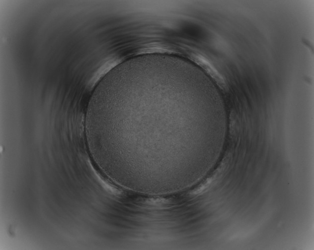 X0000093371233200710111430
