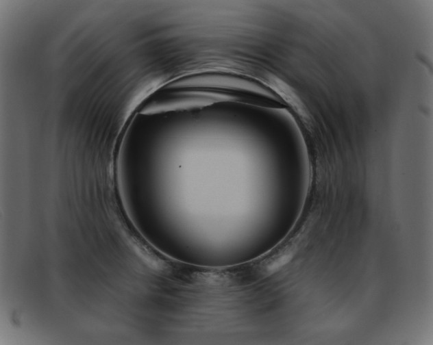 X0000093371234200710111430
