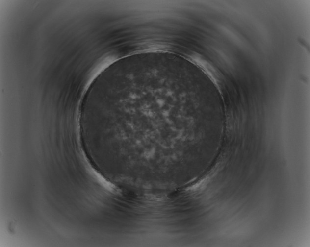 X0000093371235200710111430