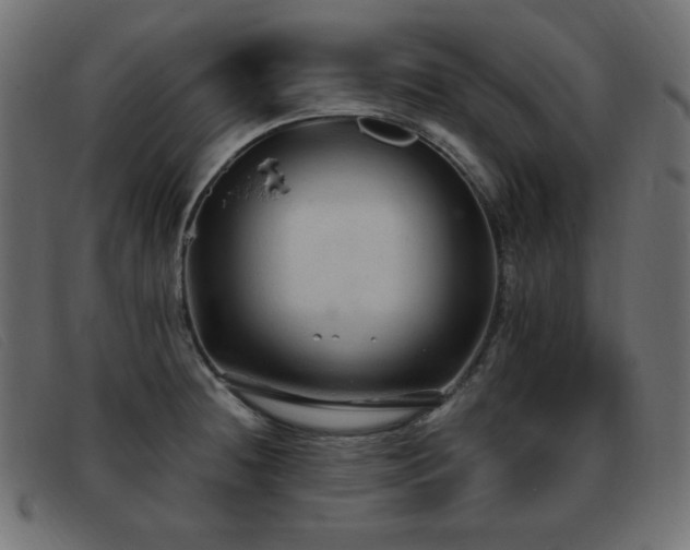 X0000093371236200710111430