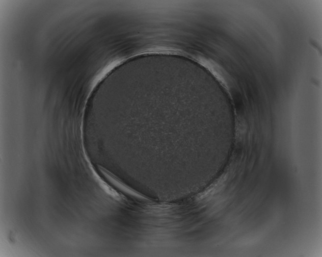 X0000093371237200710111430