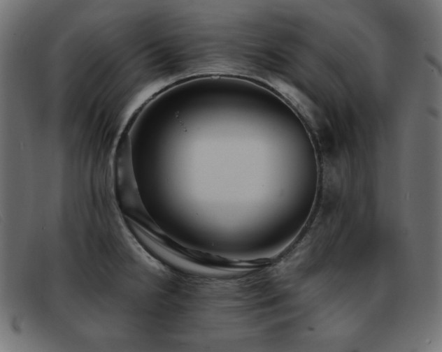 X0000093371238200710111430