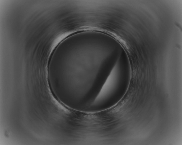 X0000093371239200710111430