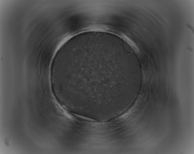 X0000093371240200710111430