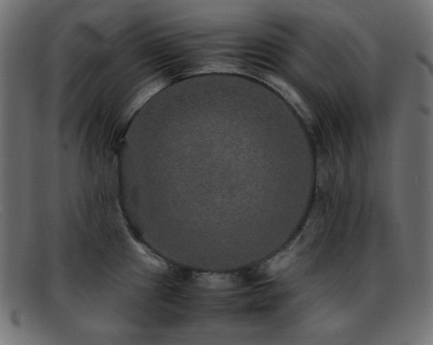 X0000093371241200710111430