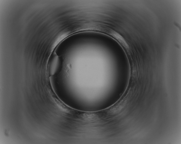 X0000093371242200710111431