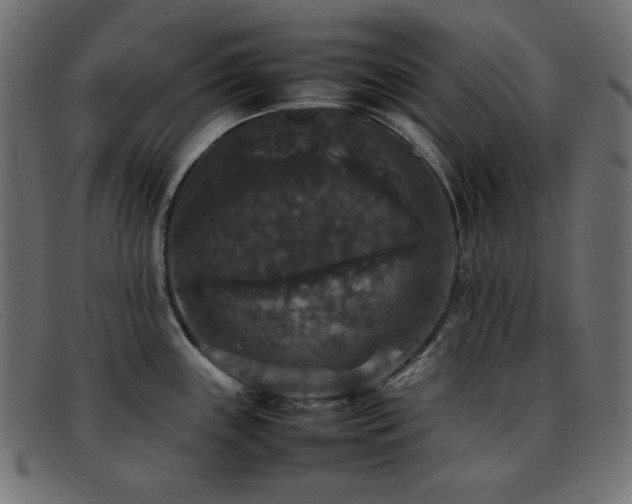 X0000093371243200710111431