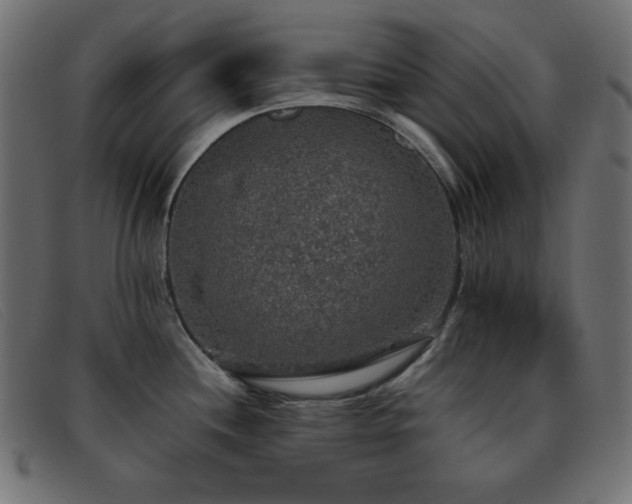 X0000093371244200710111431