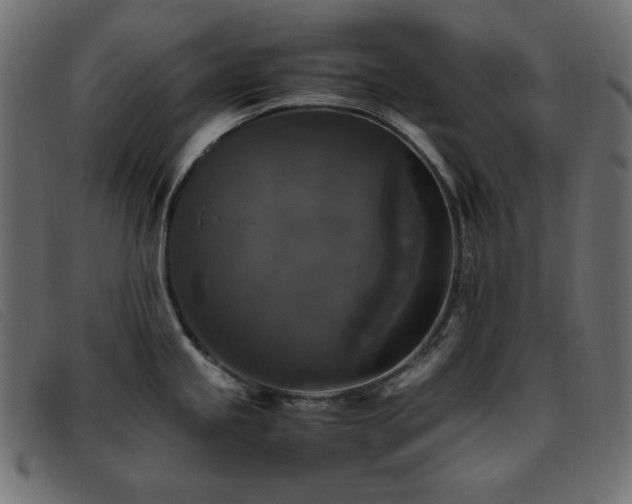 X0000093371245200710111431