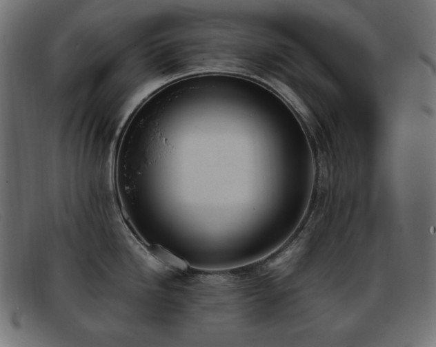 X0000093371246200710111431