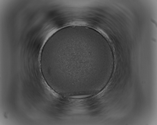 X0000093371248200710111431