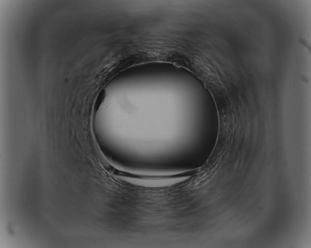 X0000093371249200710111430