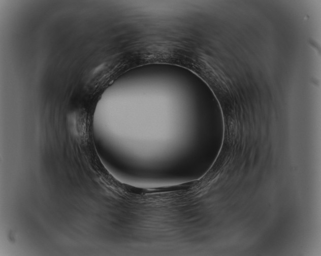 X0000093371250200710111430