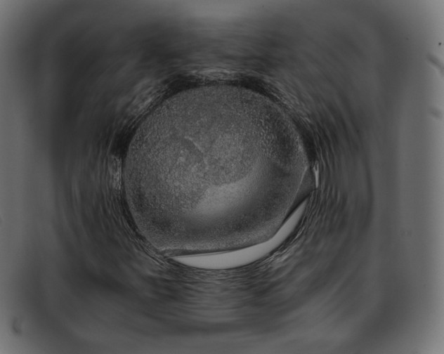 X0000093371251200710111430