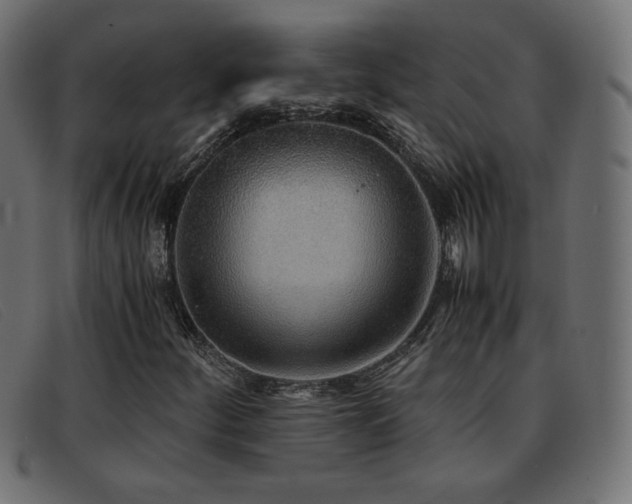 X0000093371252200710111430