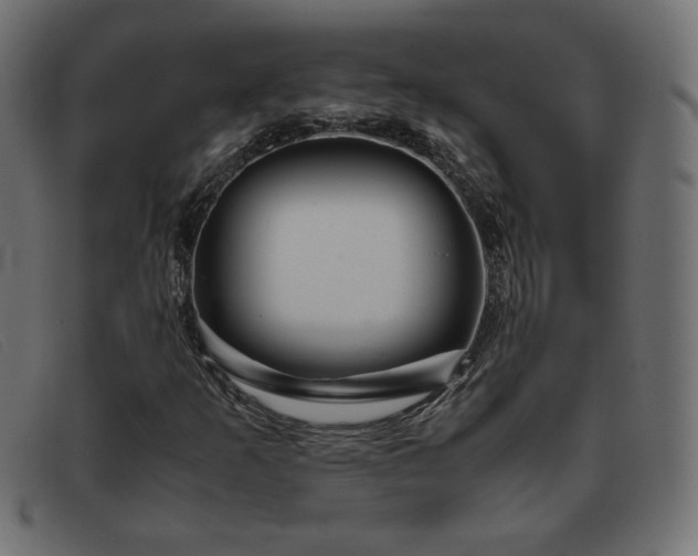 X0000093371253200710111430