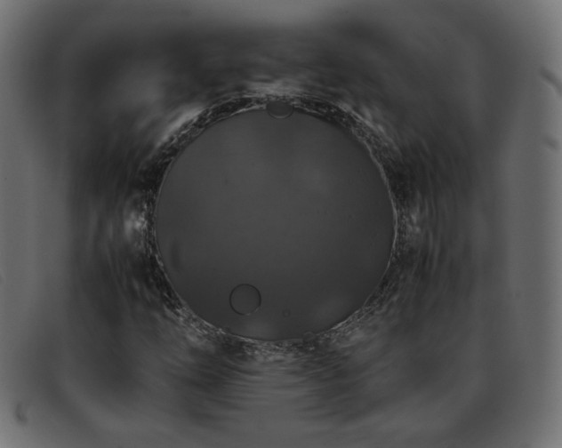 X0000093371254200710111430