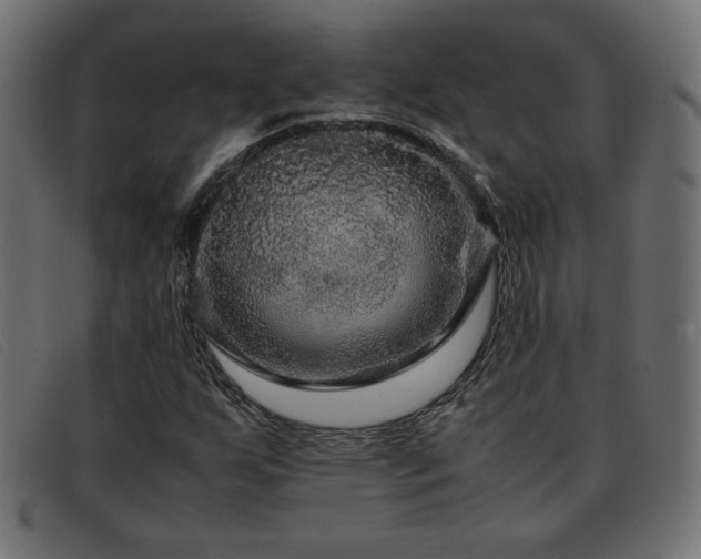 X0000093371255200710111430