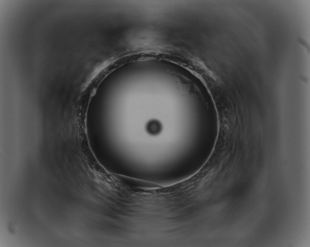 X0000093371256200710111430