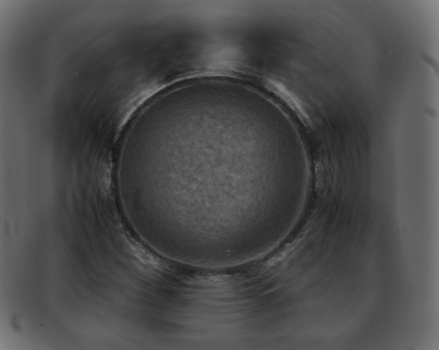 X0000093371260200710111430
