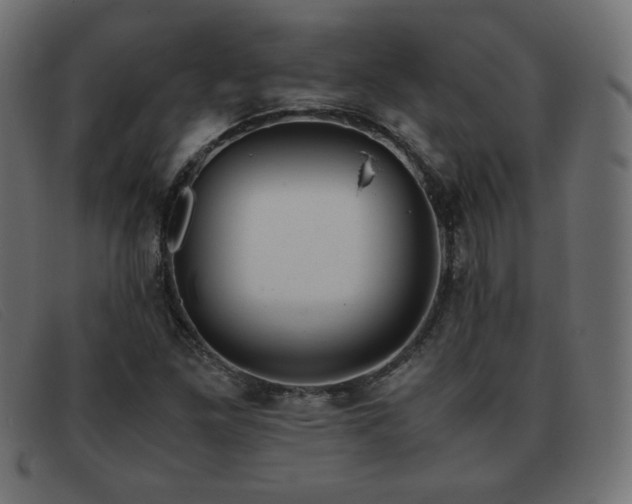 X0000093371261200710111430