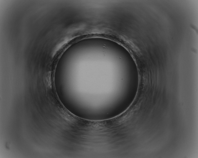 X0000093371262200710111430