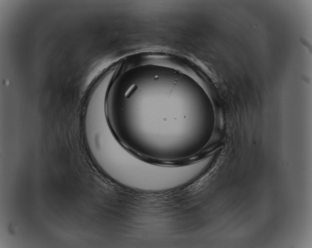 X0000093371263200710111430