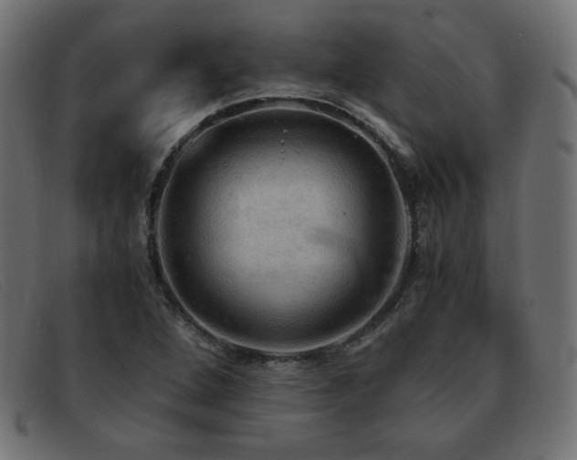 X0000093371264200710111430