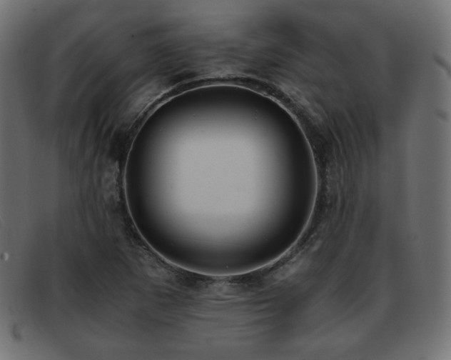 X0000093371265200710111430