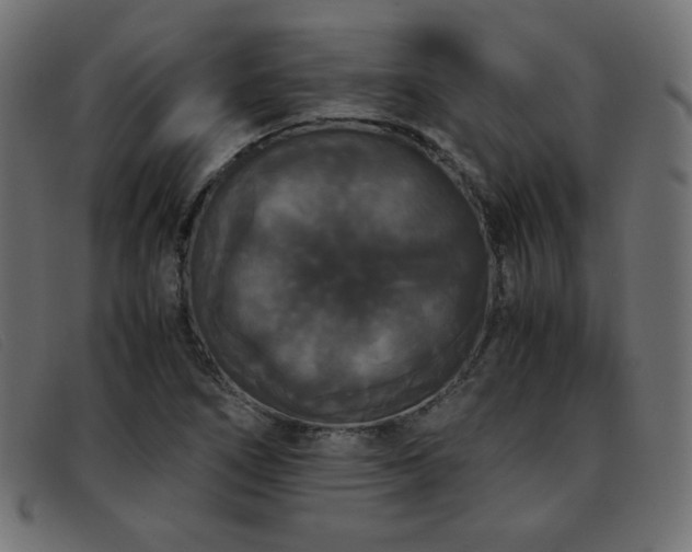 X0000093371266200710111430