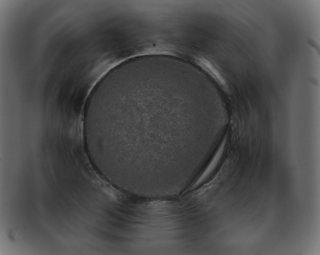 X0000093371268200710111430