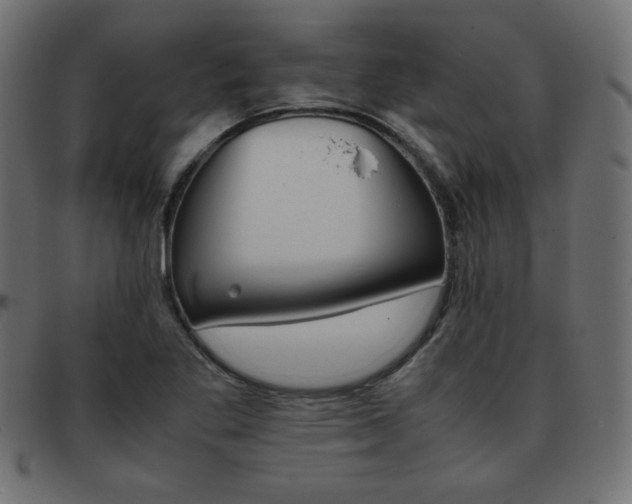 X0000093371269200710111430