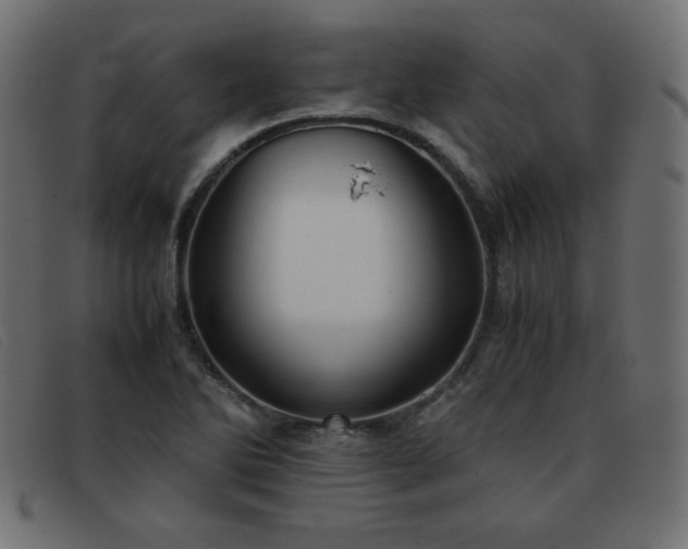 X0000093371270200710111430