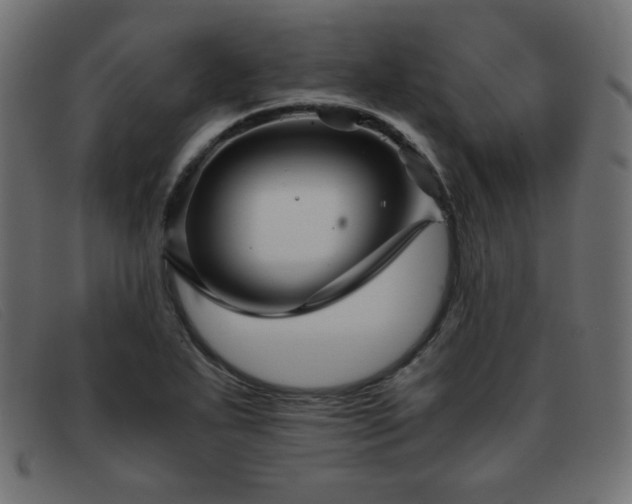 X0000093371271200710111430